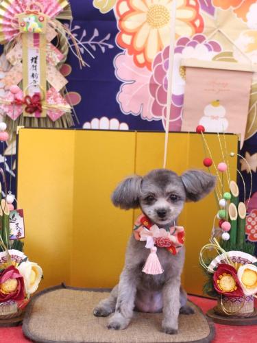 20240130おこげちゃん